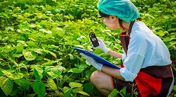 Recherche et éducation