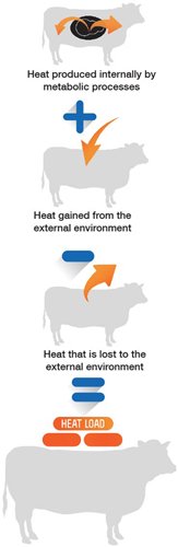 heat load infographic