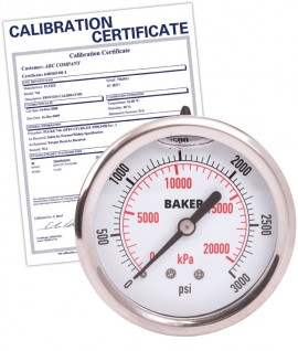 Baker AHNC Series Liquid Filled Pressure Gauge, 0 to 3000 psi/0 to 21,000 kPa, 2.5&amp;quot; dial, &amp;frac14;&amp;quot; NPT back, SS housing,-