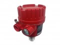 Binmaster BMRX-200.X2XAA Rotary Paddle Level Indicator, 230 V AC, 1.25&quot; NPT Aluminum-