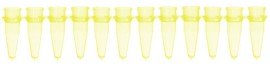 Bio Plas 5020-3 Thin Wall Micro Tube, 12 Tubes/Strip, 0.2mL, Yellow, (Pack of 100)-
