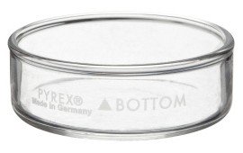 Corning PYREX 3160-60BO Petri Dish Bottom Only, 60x15mm, Beaded Rim-