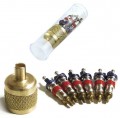 CPS AVS1 V Ensemble d'obus de valve et de capuchons en laiton SAE dans une fiole en plastique-