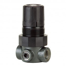 Dwyer MPR2-4 R&amp;eacute;gulateur de pression, 0-100 Psi, air et eau-