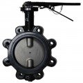 Dwyer WE20-GHD00-LP Manual Lug Style Butterfly Valve (8&quot;) with PTFE Liner-