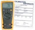 Fluke 175/EFSP-NIST True RMS Digital Multimeter, -