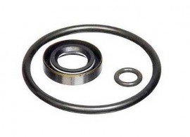 Fluke P5523SK Seal Kit-