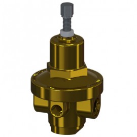 Generant NR-RK-500 Repair Kit for the NR Series Regulators-
