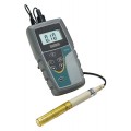 OAKTON SALT 6+ Meter and Probe-