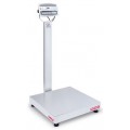 OHAUS D52XW250WQV8 Multifunctional Standard Washdown Bench Scale with stainless steel indicator, 500 lbs. capacity-