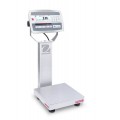 Ohaus D52XW2WQS6 Defender 5000 Column-Mount Washdown Bench Scale, 5 lbs, 10 x 10&amp;quot; platform-