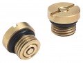 Ralston DP0V-0045 DV0V Brass Vacuum Check Valves, 2-pack-