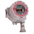 RKI 65-2641RK-05 M2A Series Stand Alone Transmitter, H&lt;sub&gt;2&lt;/sub&gt;, CSA version-