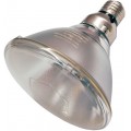 Spectroline NDT 100S/M-PQL Upgraded Premium Quality Lighting Spot Bulb, Medium Base, 100 Watt-