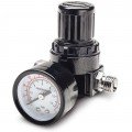 Titan 19303 Locking Air Regulator and Gauge, 0 to 180 psi, 1/4&amp;quot;-