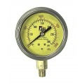 TPI A790 Pressure Gauge, 0 to 300 psi-