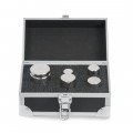 Troemner 80860833 Electronic Balance Ultra Class Weight, 100g to 1kg Set-