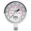 Winters PFP1001 Premium Stainless-Steel Liquid Filled Pressure Gauge, 0/15 psi/kPa, 0.25&amp;quot; back (LB)-