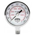 Winters PFP880 Premium Stainless-Steel Liquid Filled Pressure Gauge, 0/400 psi/kPa, 0.25&amp;quot; bottom-